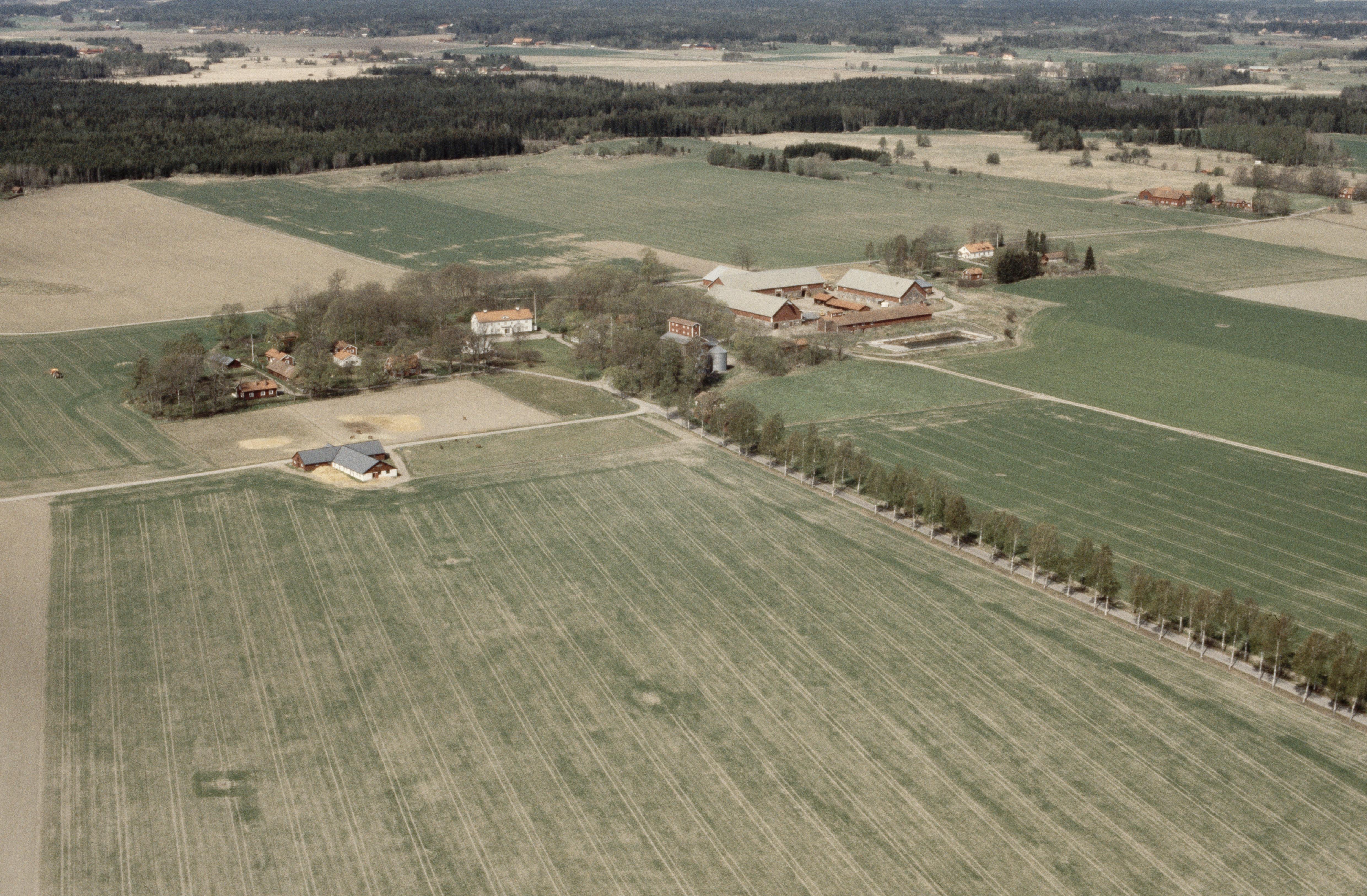 Jan Norrman, Tillinge 280:1
