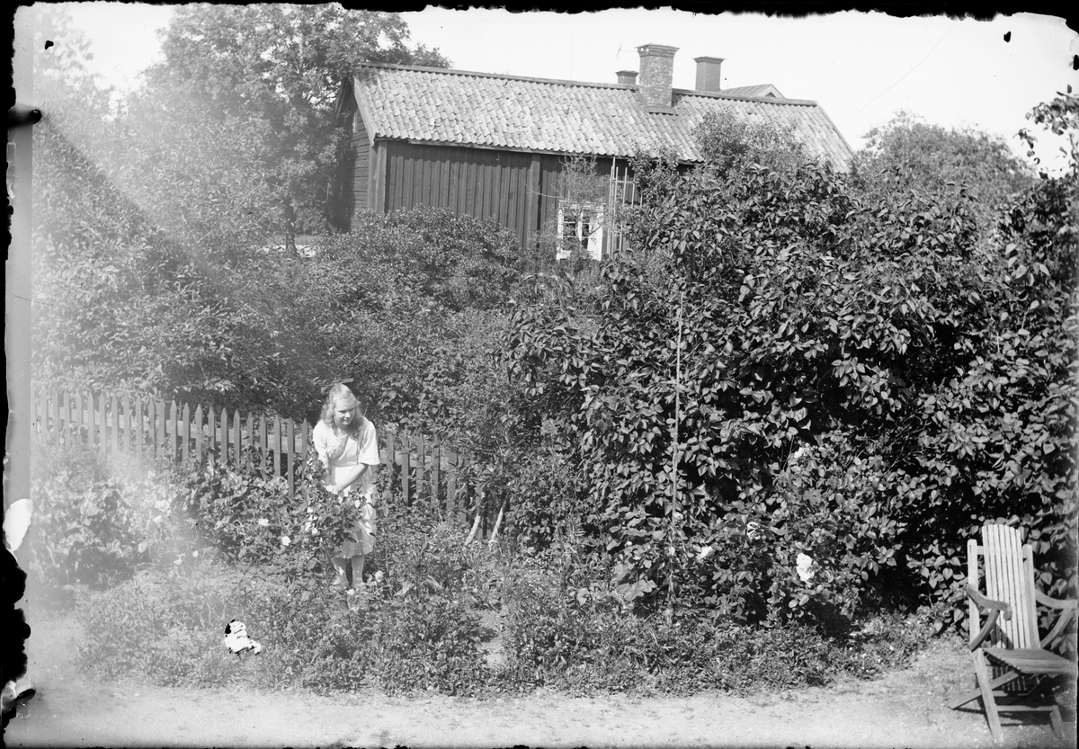 Skötsner-Edhlund, Woman in the Garden, Östhammar, Uppland