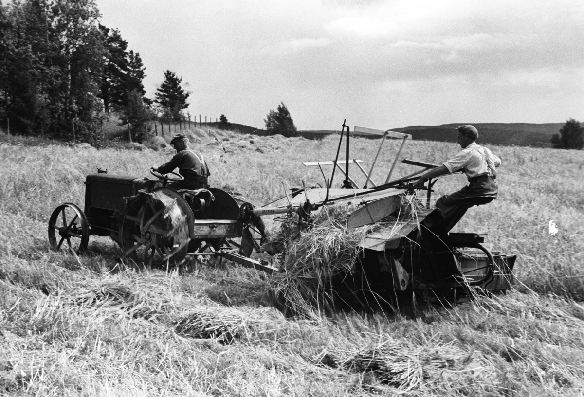 Anders Beer Wilse, Prot: Piker i Kornaker