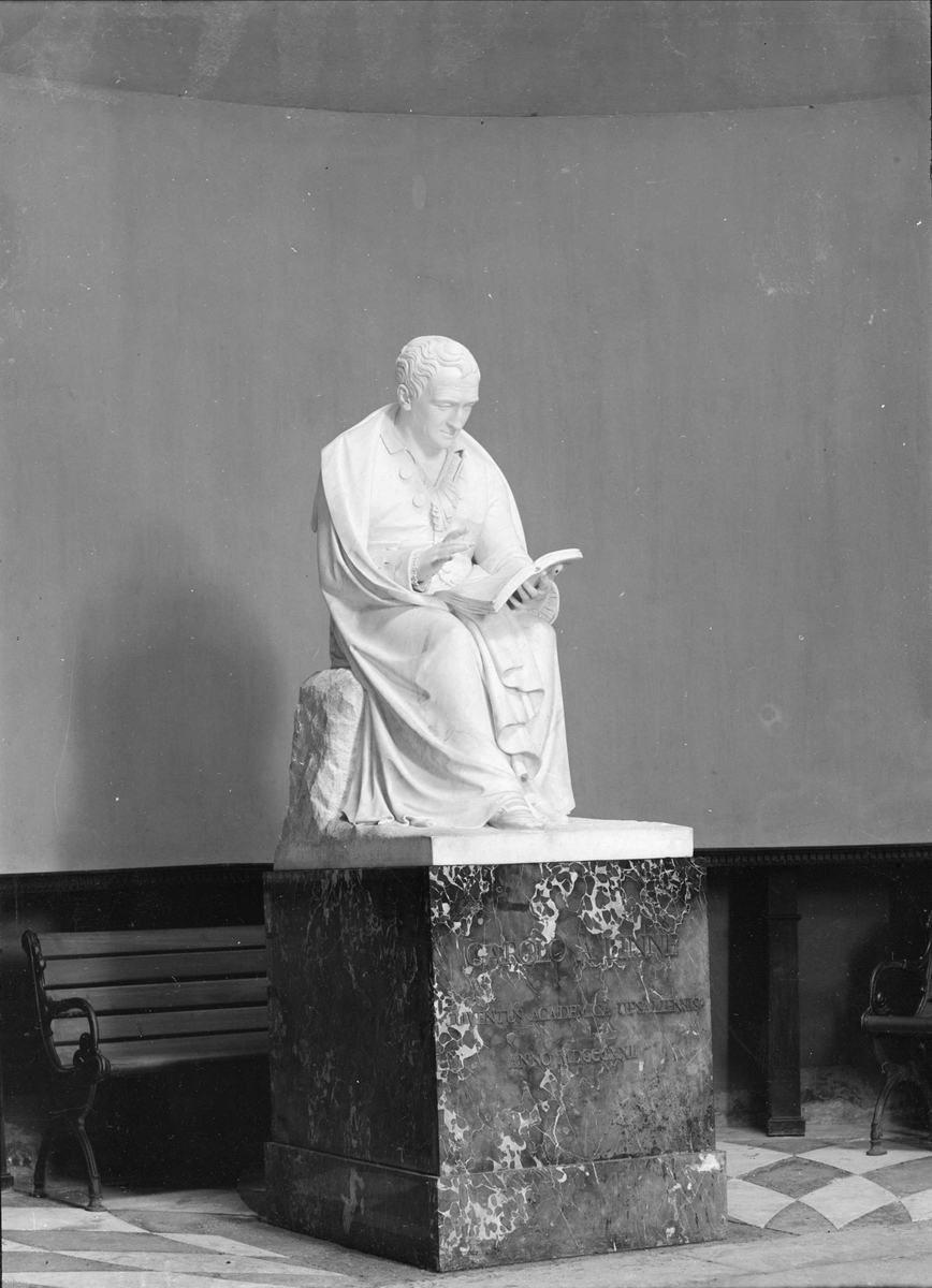 Henri Osti's Fotografiateliér, Statue of Carl von Linné, Linneanum, Botanical Garden, Uppsala before 1914