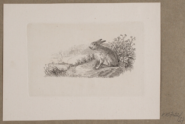 Vilhelm Kyhn, Illustration til O. Specter, "Fabler for Børn"
