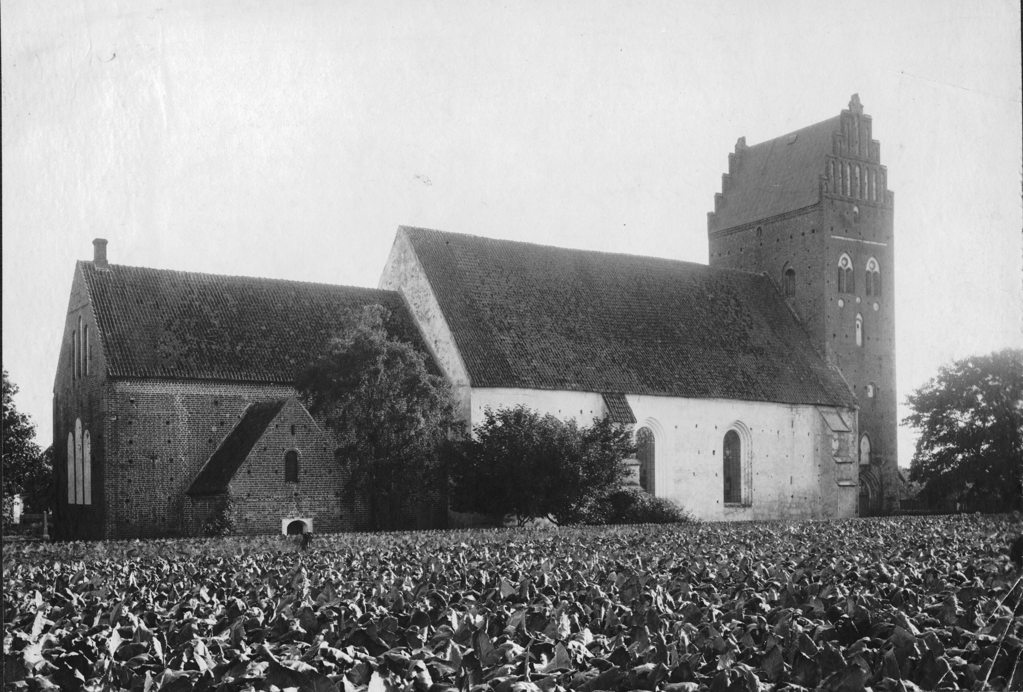 Oscar Rylander, Sankta Maria kyrka (Åhus kyrka)