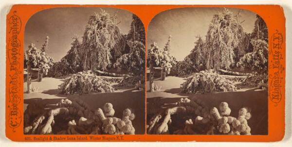 Charles Bierstadt, Sunlight & Shadow Luna Island. Winter[,] Niagara N.Y.