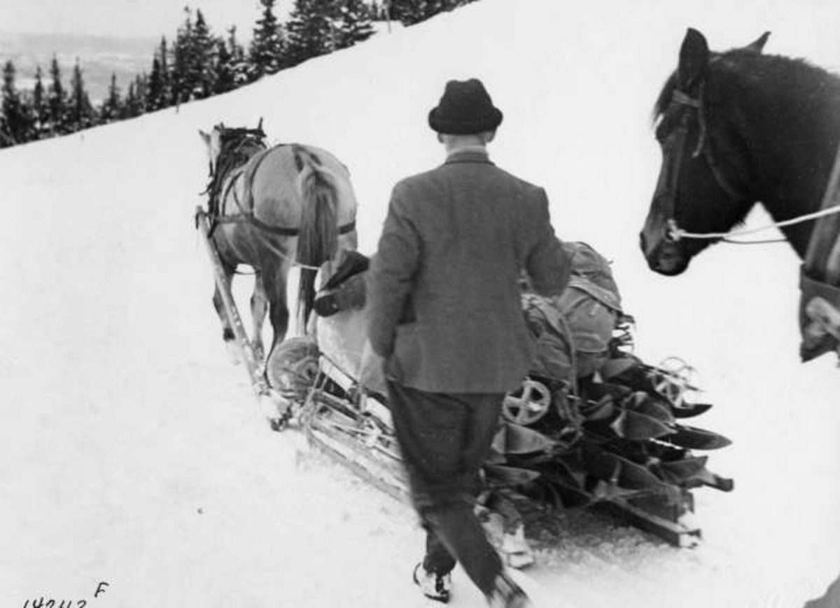 Anders Beer Wilse, Ved Fjellhvil Hotell