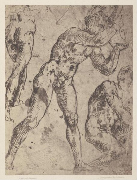 Fenton, Roger, Photograph of Raphael drawing