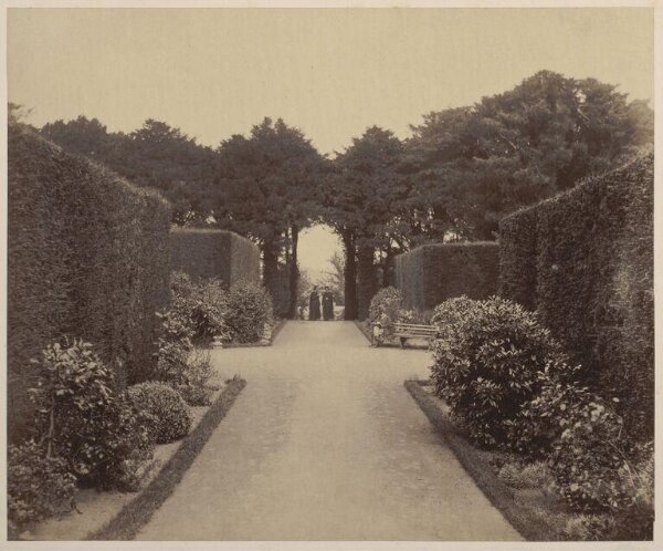 Fenton, Roger, The Yew Walk, Stonyhurst