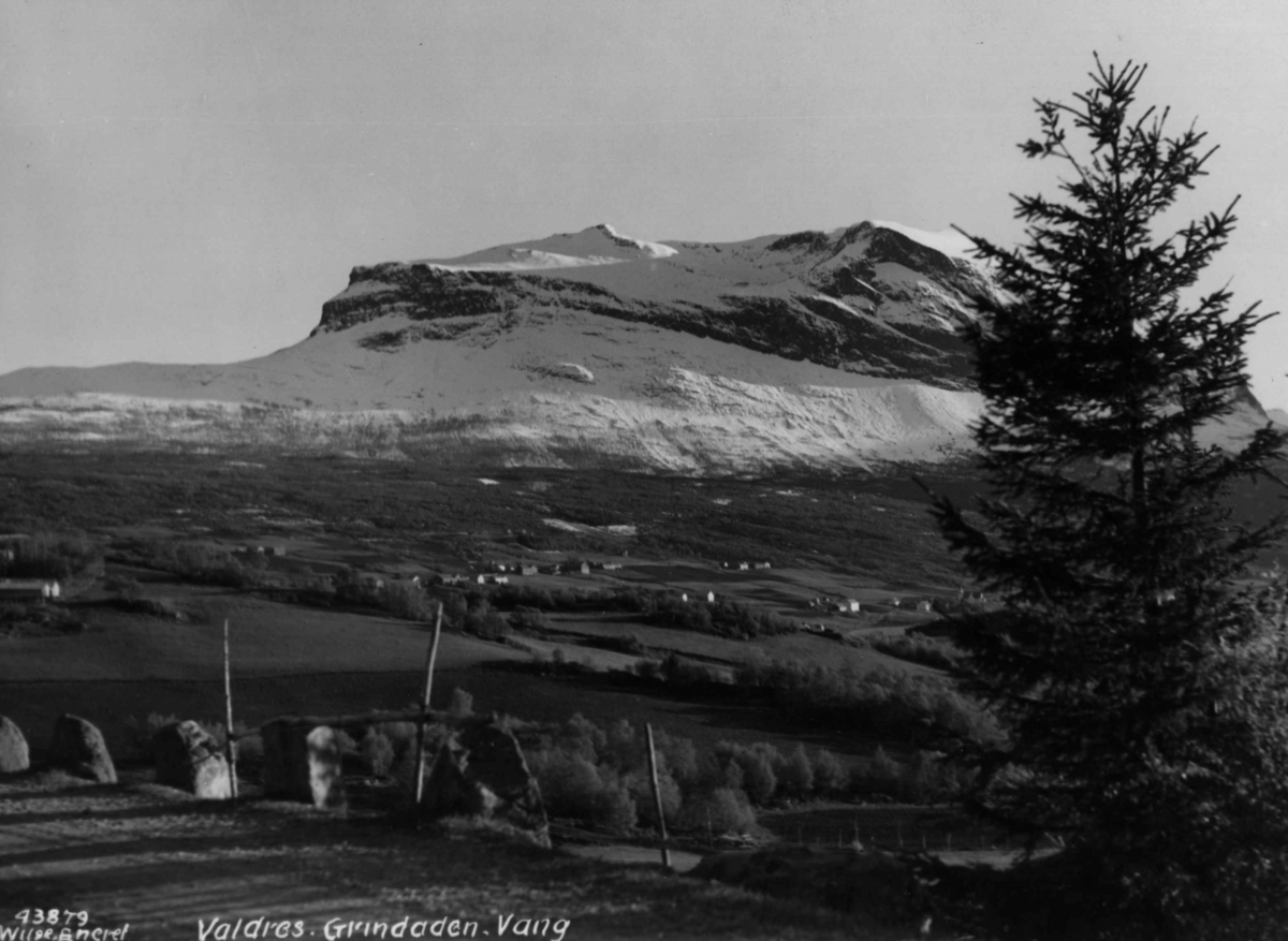 Anders Beer Wilse, Grindane Valdres Oversiktsbilde