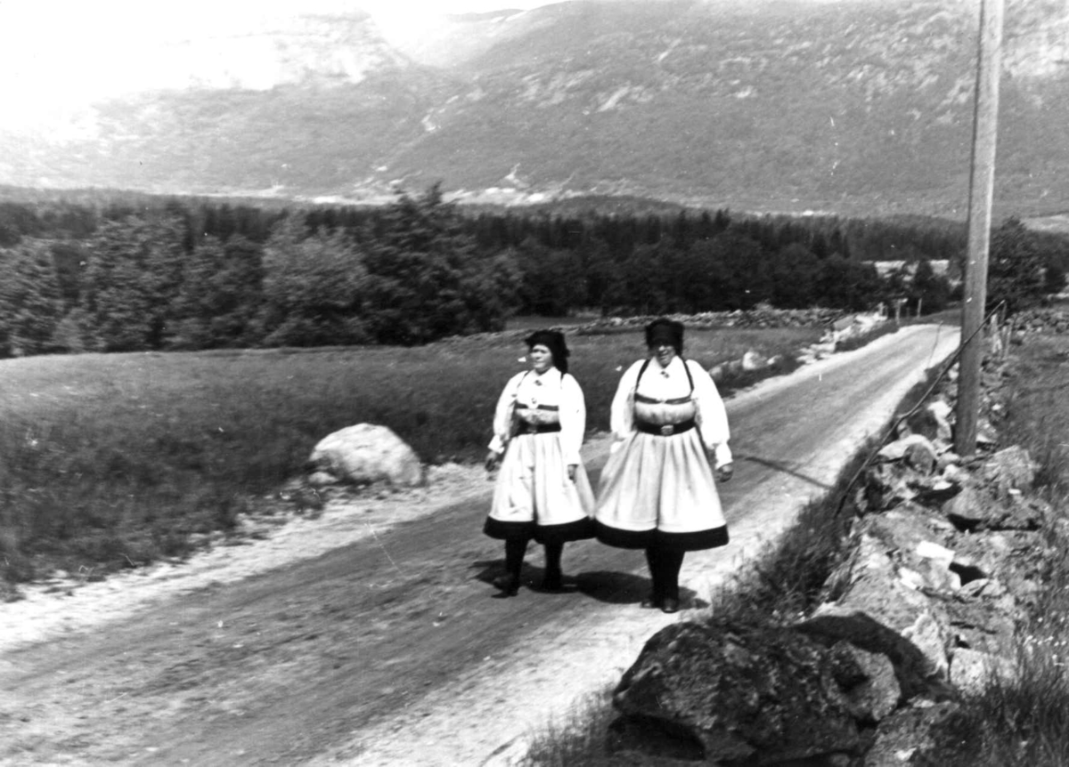 Anna Grostøl, Valle, Setesdal, Aust-Agder 1939. Kvinnedrakt. To festkledde kvinner på en vei.