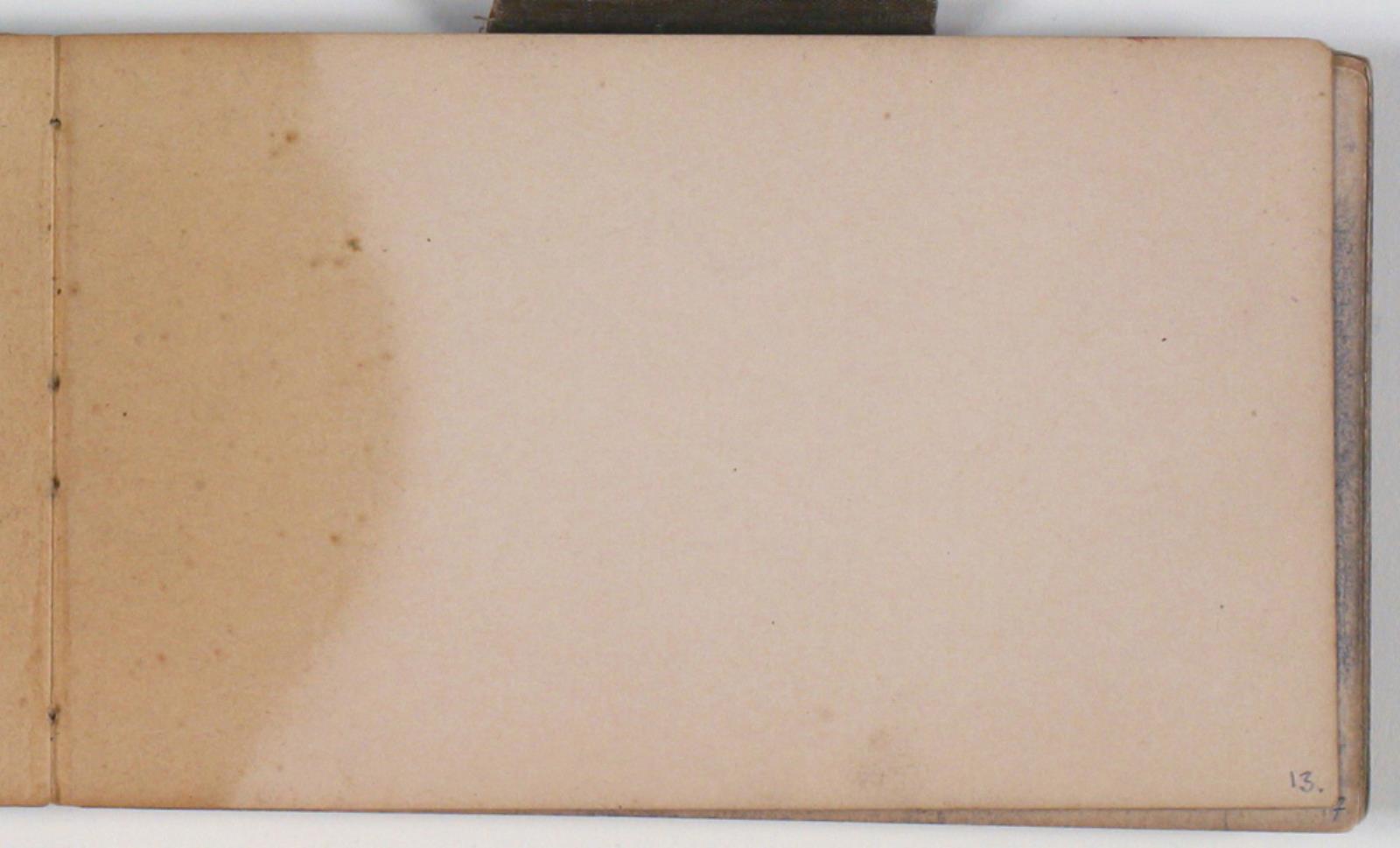 Niels Larsen Stevns, Blank