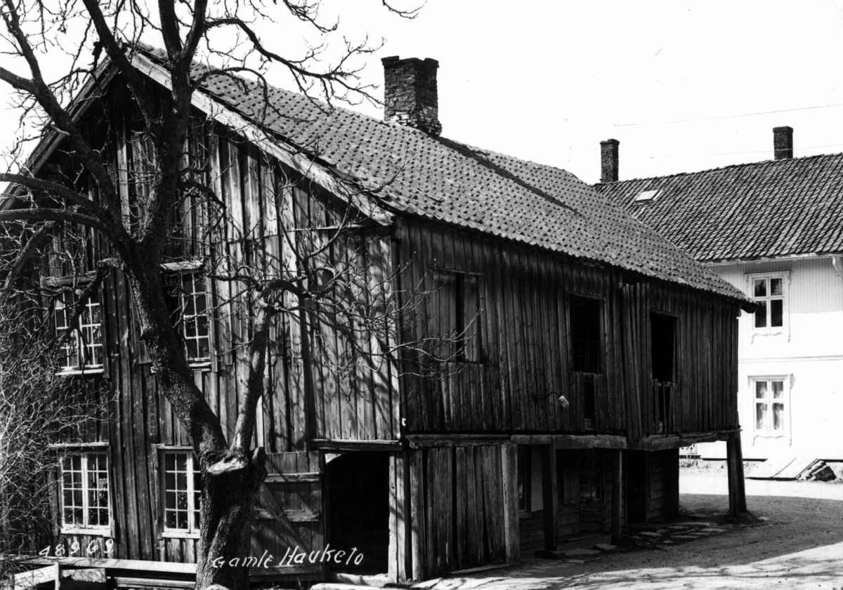 Anders Beer Wilse, Hauketo