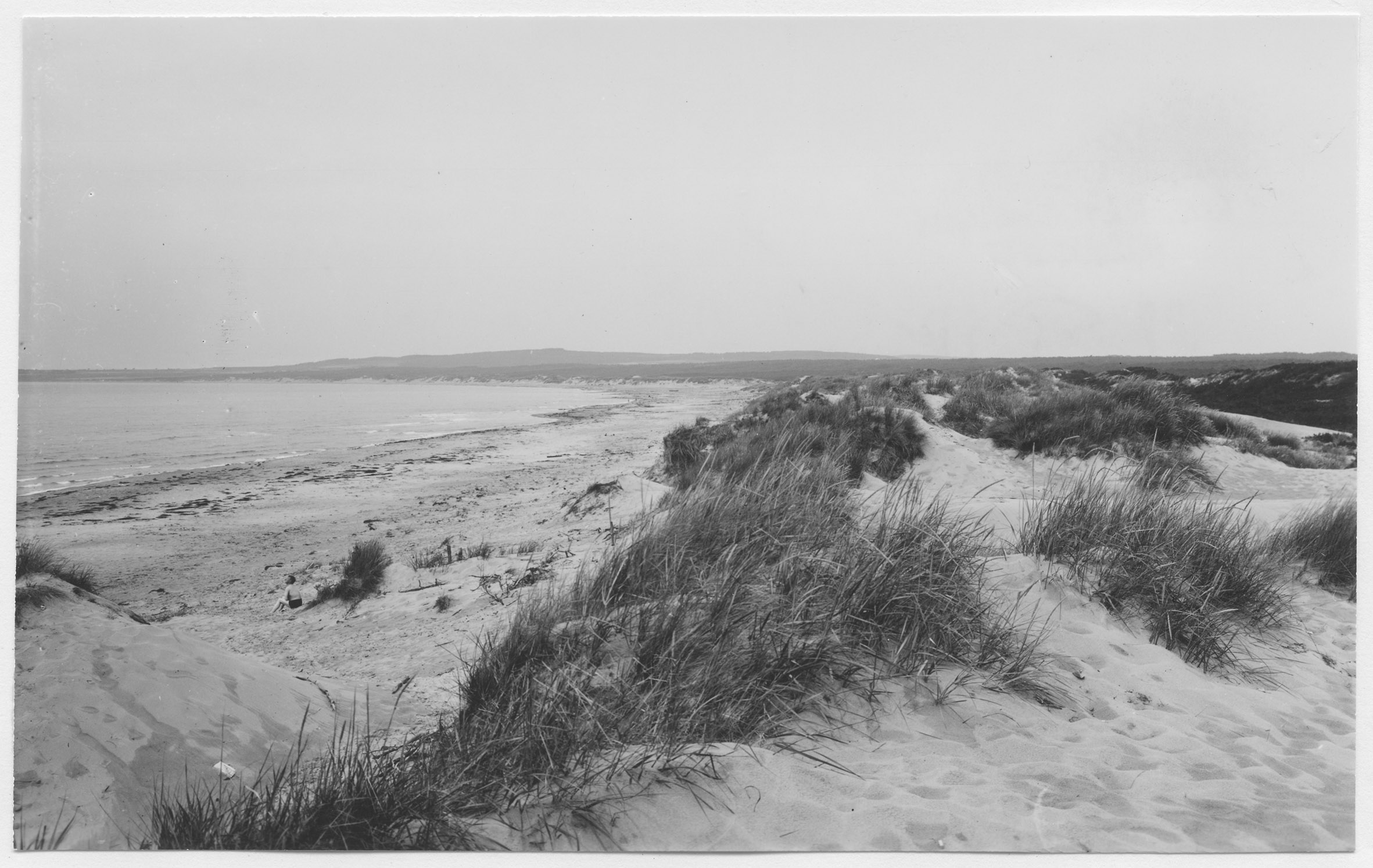 Mårten Sjöbeck, Tylösand