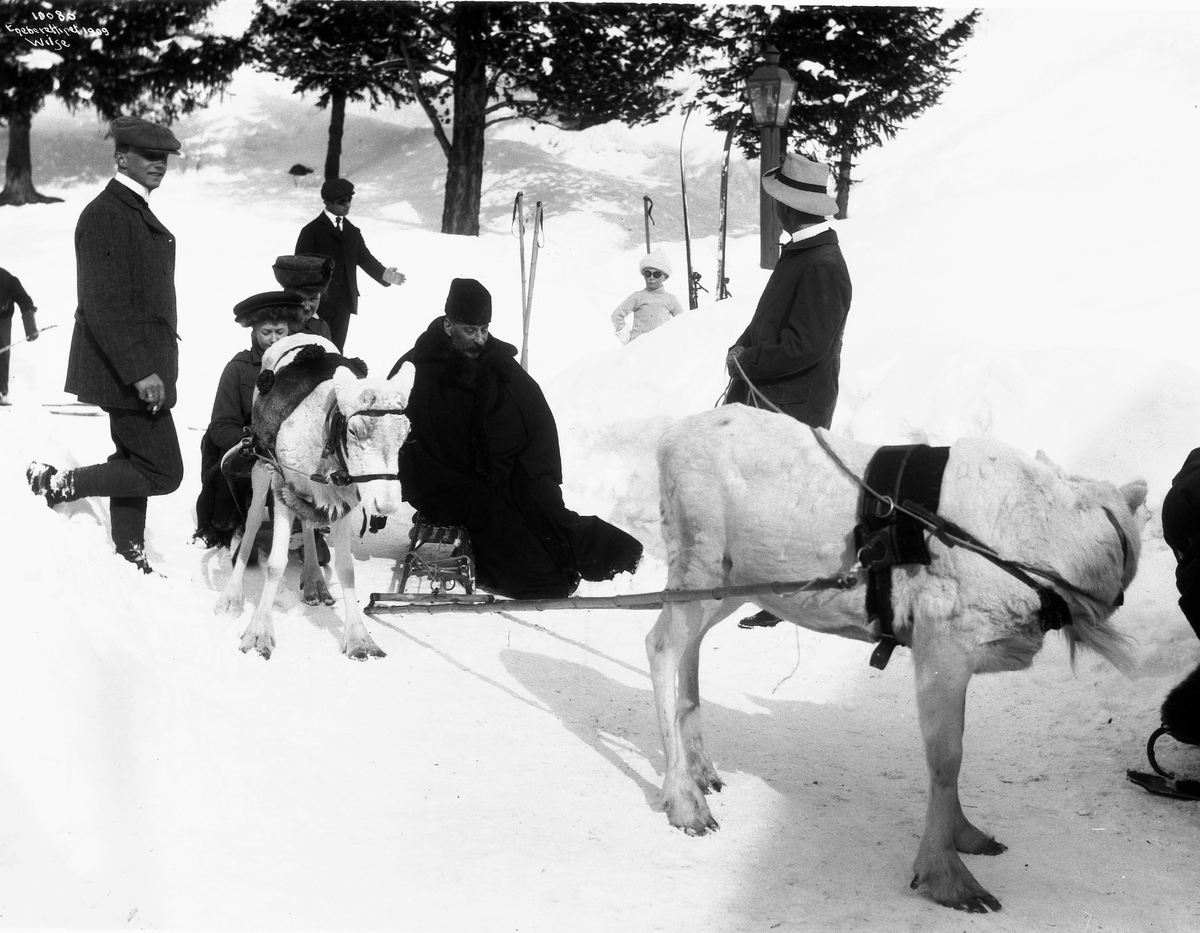 Anders Beer Wilse, Prot: Rensdyrskyds Rusiske minister og kronprinsen 30/3 1909