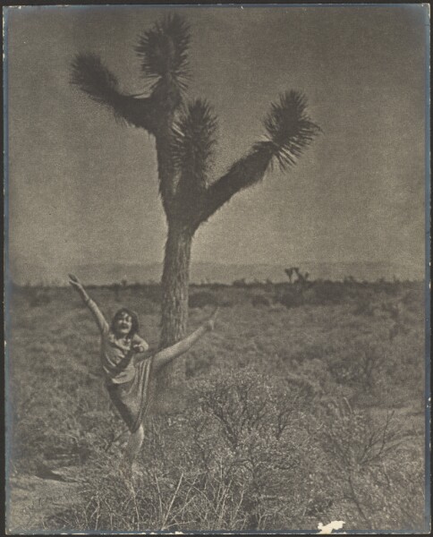 Louis Fleckenstein, [Dancer at Joshua Tree]