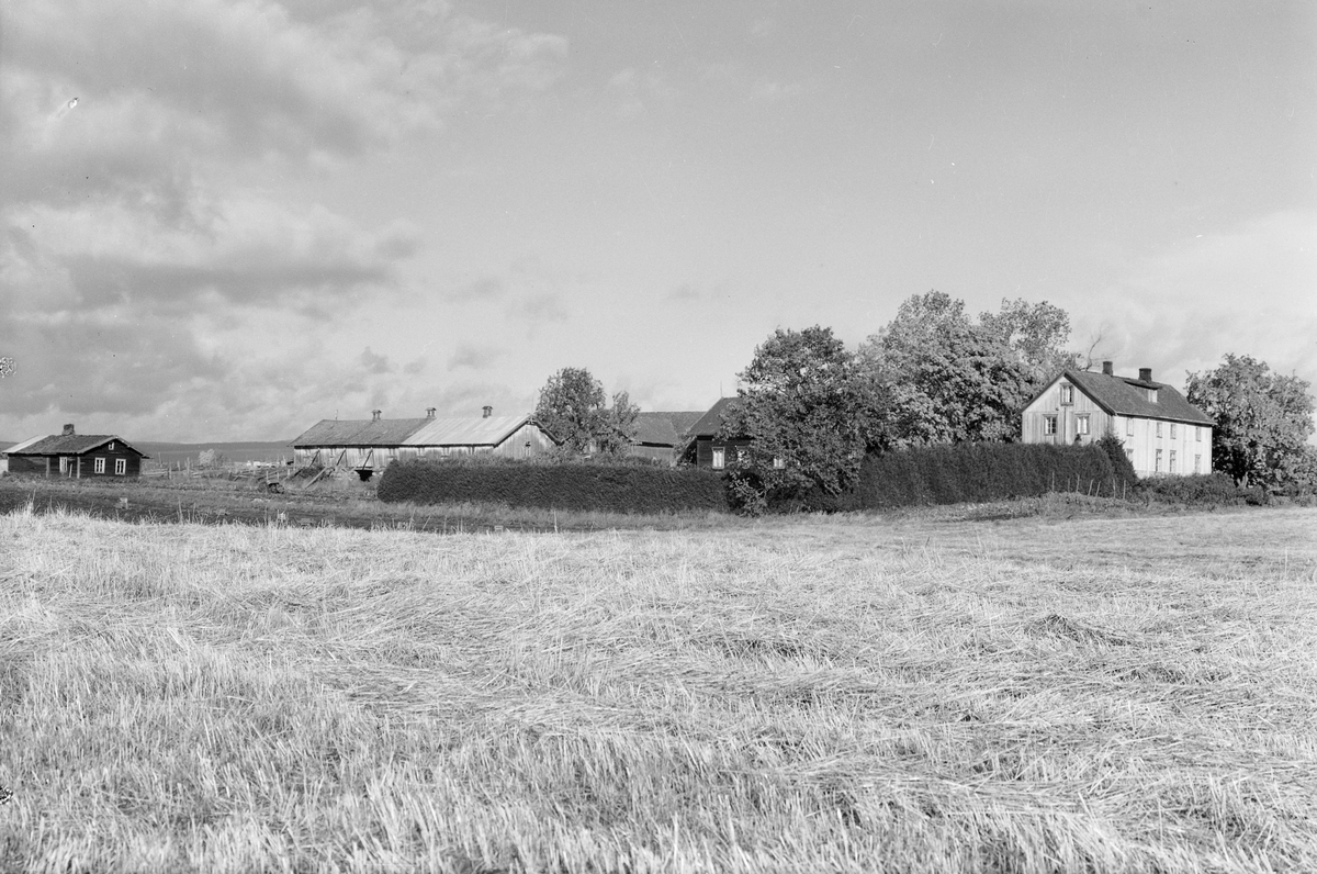 Anno Domkirkeodden, EKSTR: GARDSTUN, SKRAMSTAD ØSTRE, LØTEN. Se Løtenboka, bind 1. Bygdeboka fra 1949, side 384