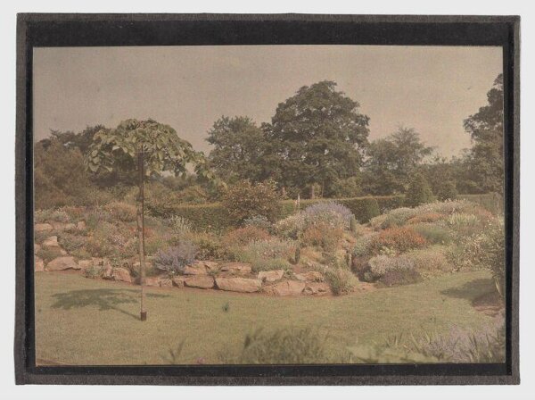 Unknown, Garden study