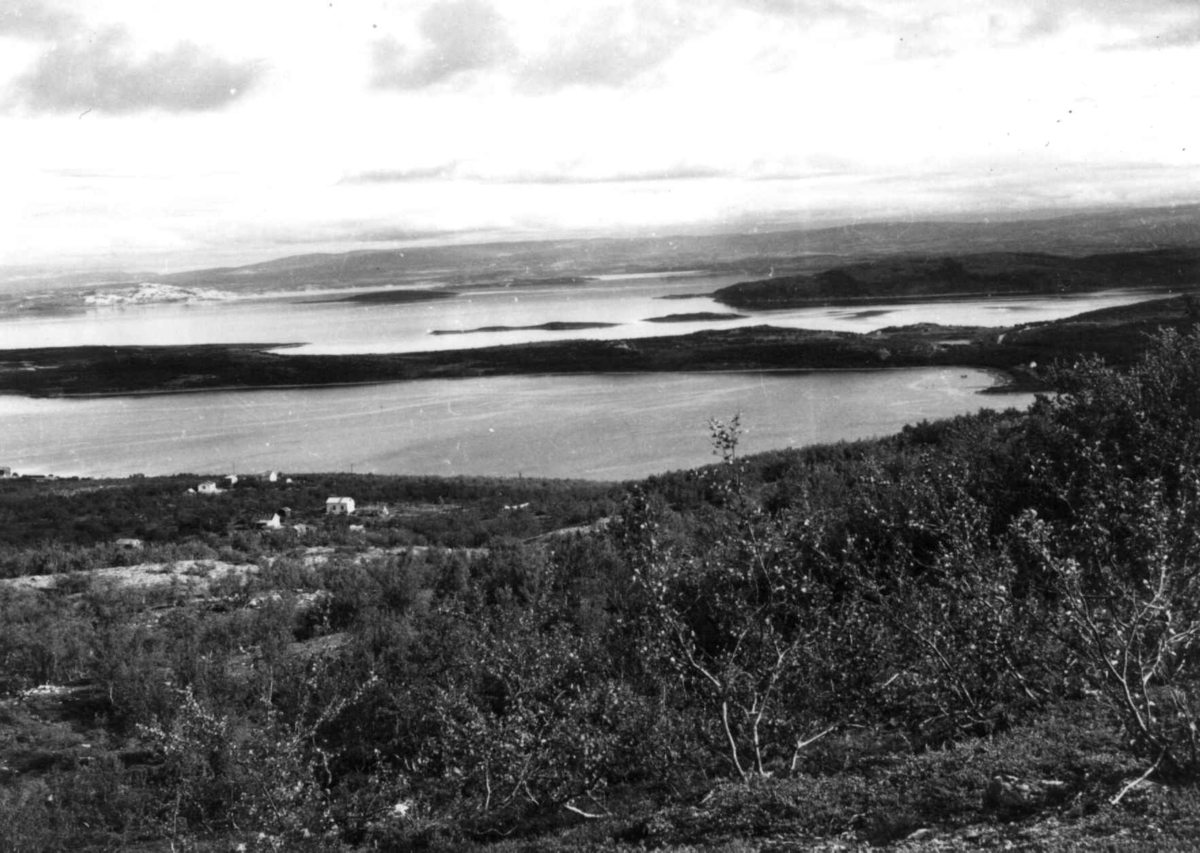 Virginia Raymond Davidson, Oversiktsbilde fra Ytre Billefjord fotografert fra fjellplatå, 1959.