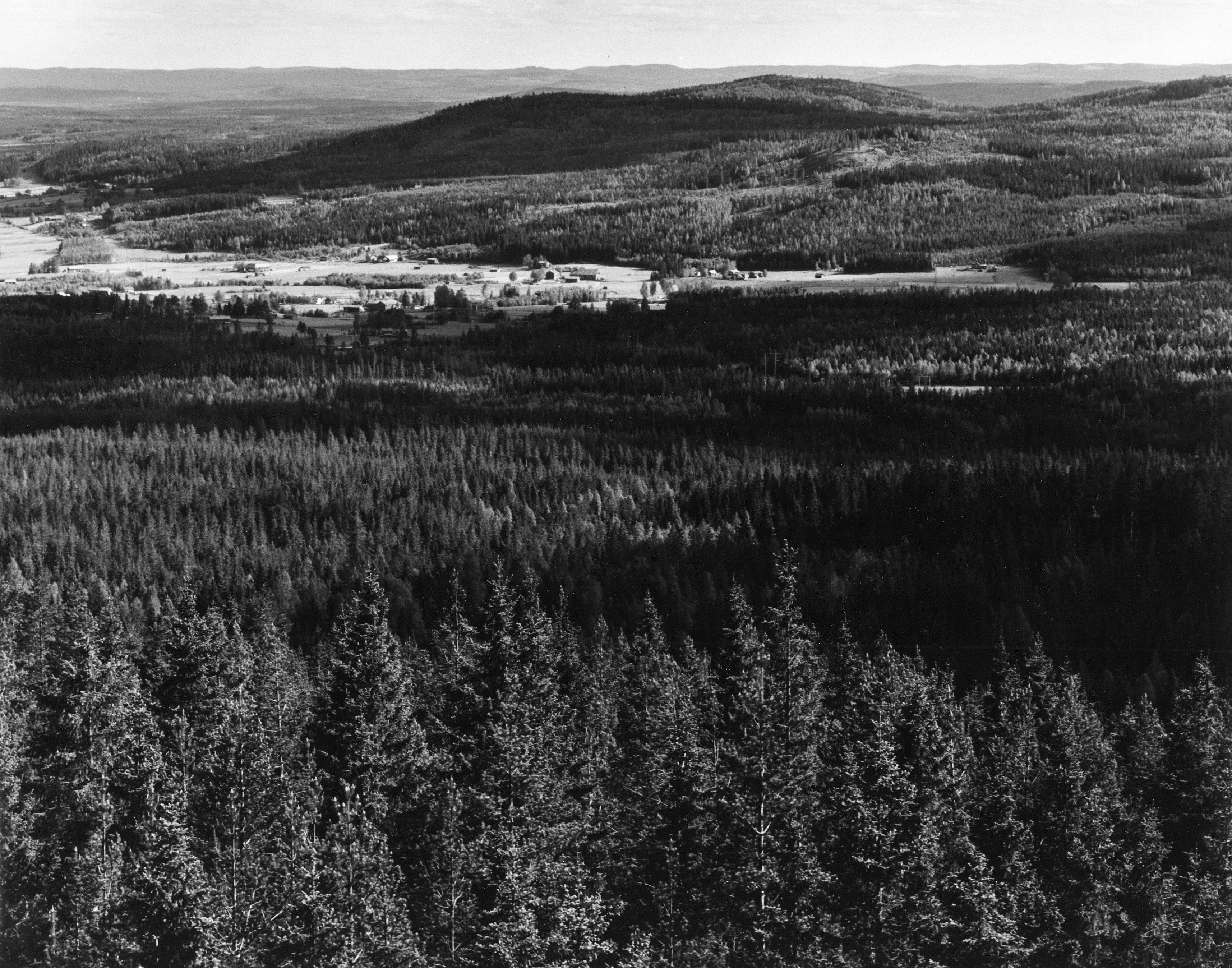 Pål-Nils Nilsson, Hälsingland