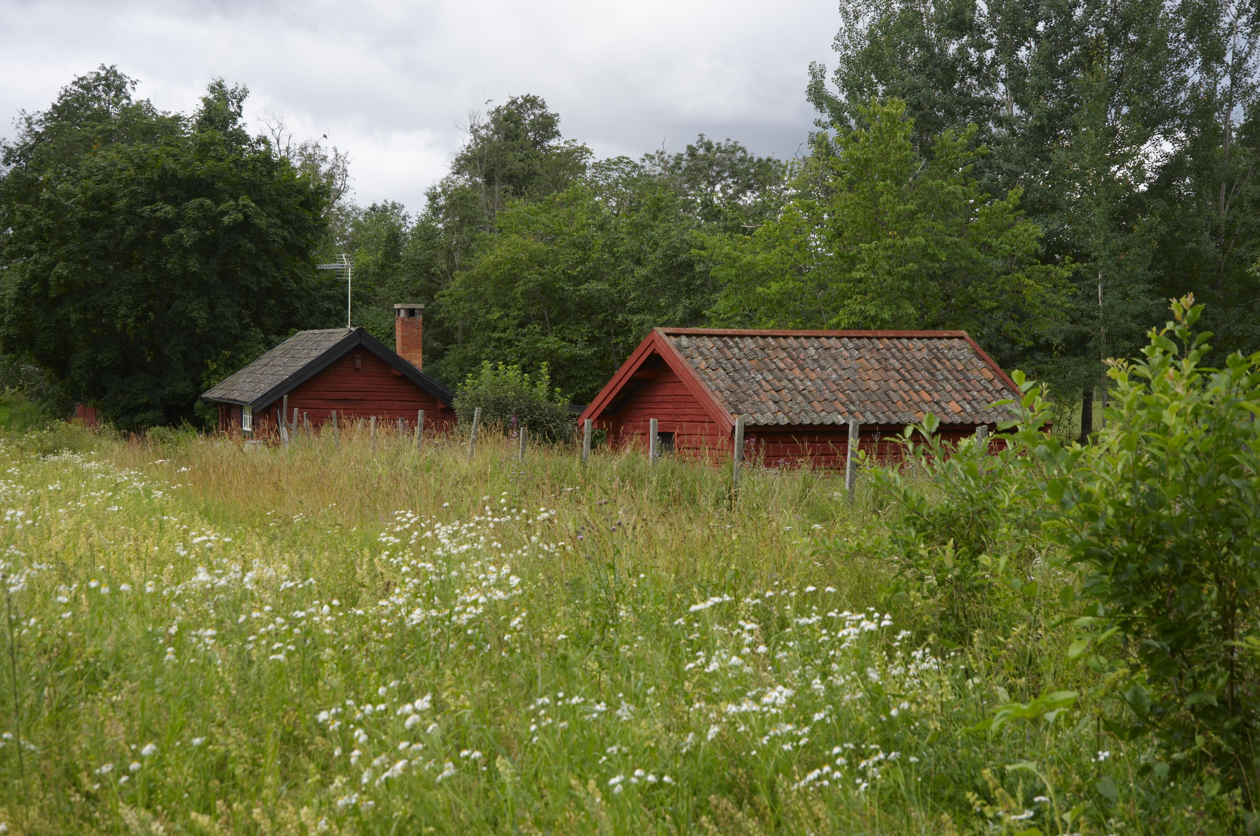 Bengt A Lundberg, Olsbenning