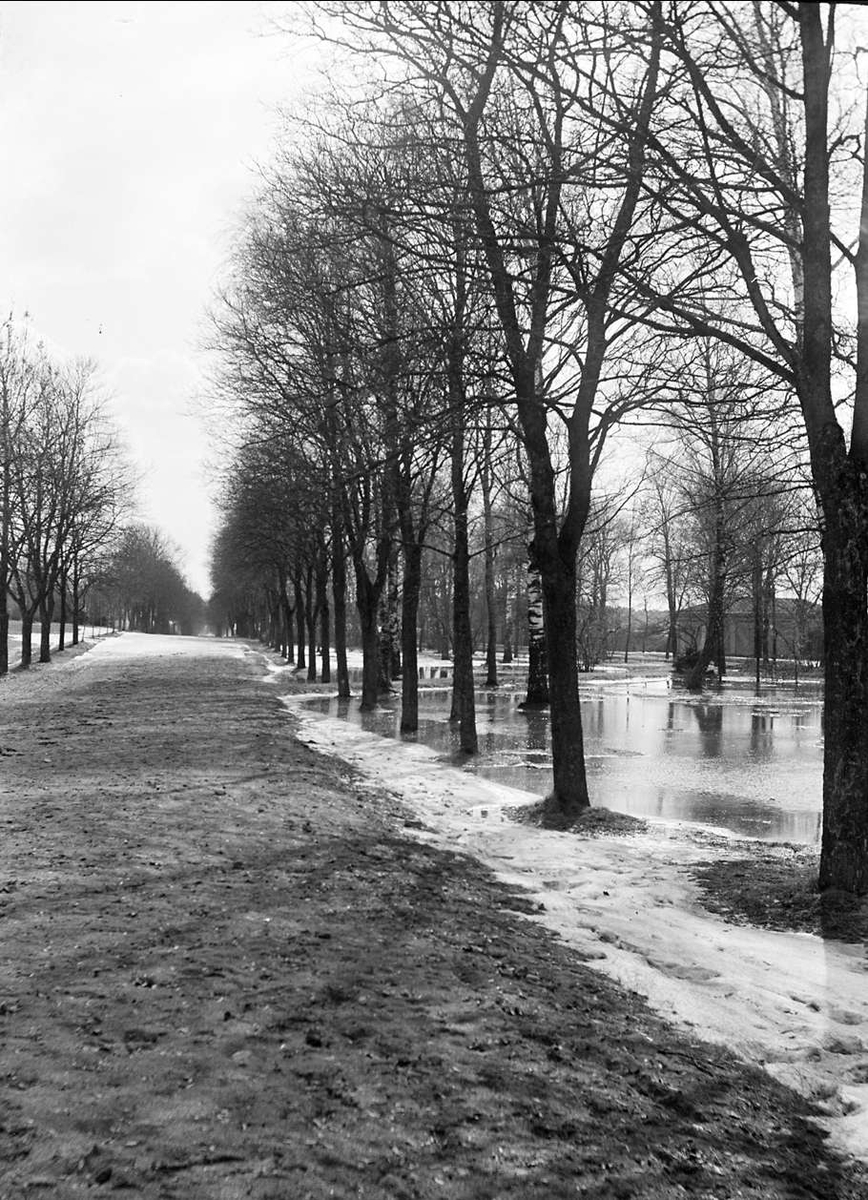 August Fredrik Schagerström, Flood in park, Uppsala 1902