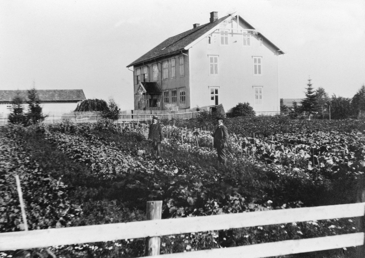 Anno Domkirkeodden, EKSTERIØR, FREDVANG SKOLE, LÆRER LOMMERUD
