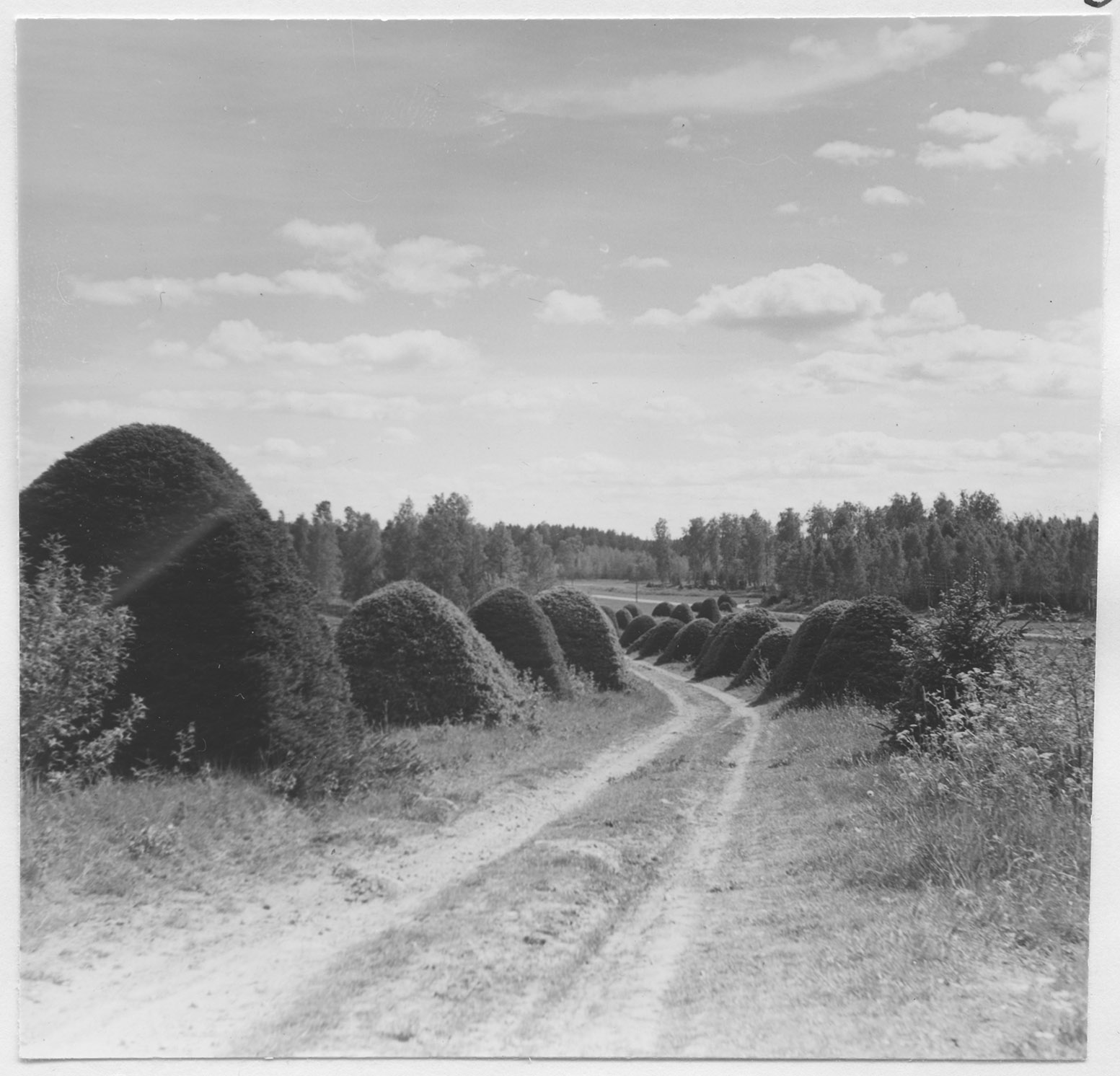 Mårten Sjöbeck, Danbyholms herrgård