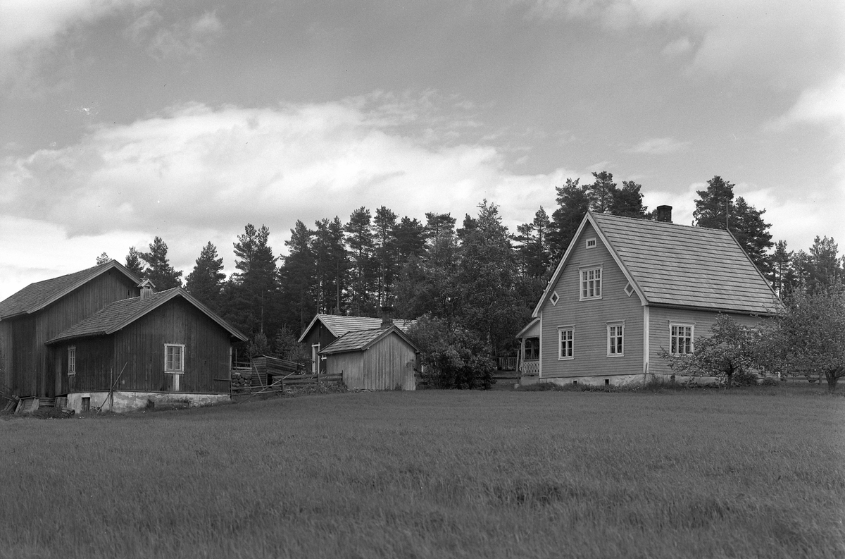 Anno Domkirkeodden, EKSTR: GARDSTUN, NORDAKER Se Løtenboka, bind 1. Bygdeboka fra 1949, side 158