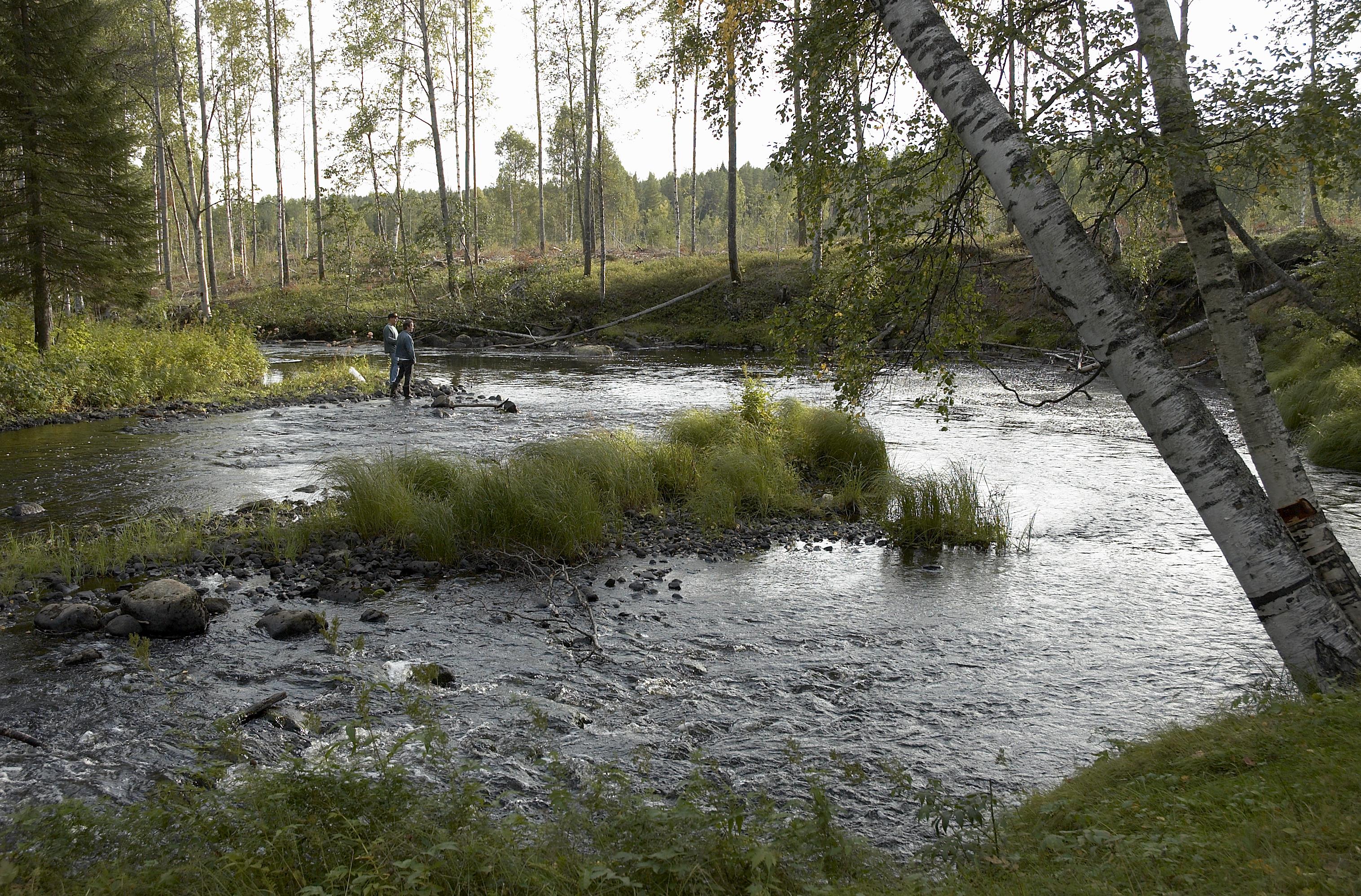 Bengt A Lundberg, Selets bruk