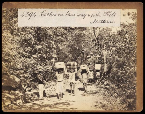 Francis Frith, Coolies on their way up the Hill.  Matheran