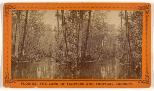 Unknown, The Great Cypress Pass, Or Gates of The Ocklawaha River.