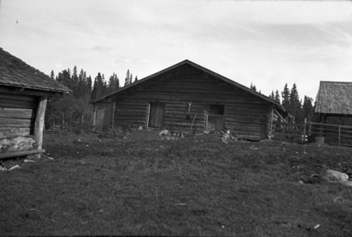 Toralv Bleken-Nilssen, BUSVOLDSETRA. ROMEDAL ALLM, Stange. STØRHUS. Fjøs