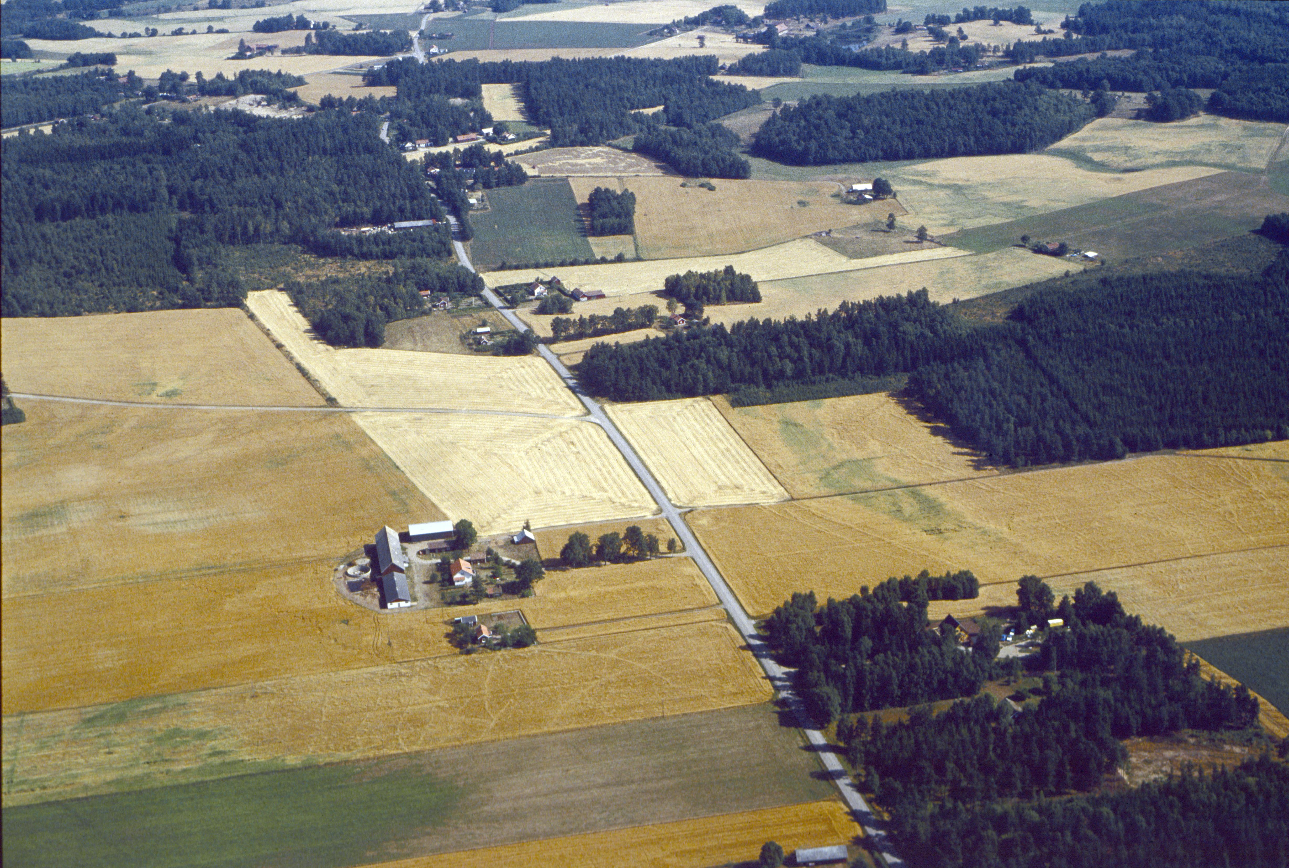 Jan Norrman, Larv (osäkert motiv)