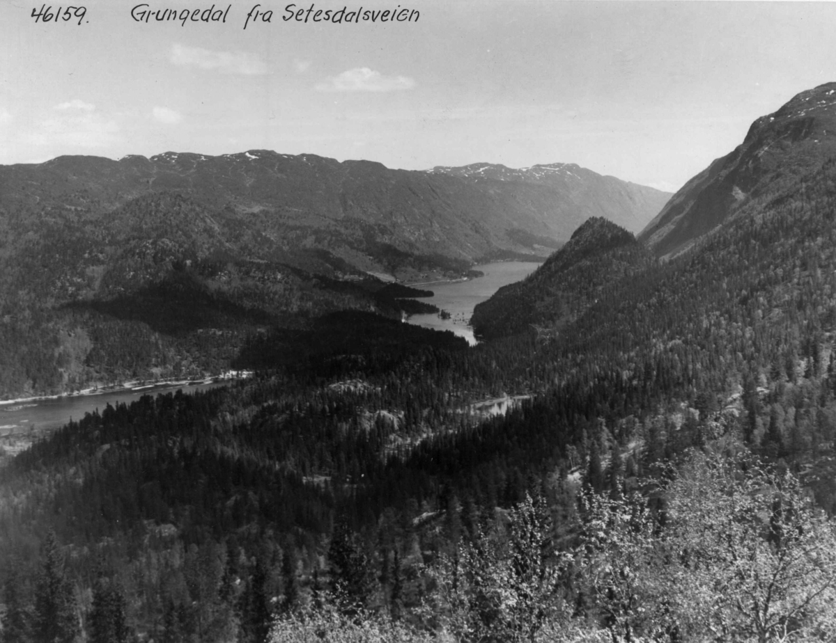 Anders Beer Wilse, Grungedal, Oversiktsbilde
