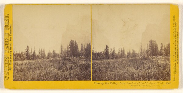 Carleton Watkins, View up the Valley, from the foot of the Mariposa Trail, Yosemite Valley, Mariposa County, Cal.