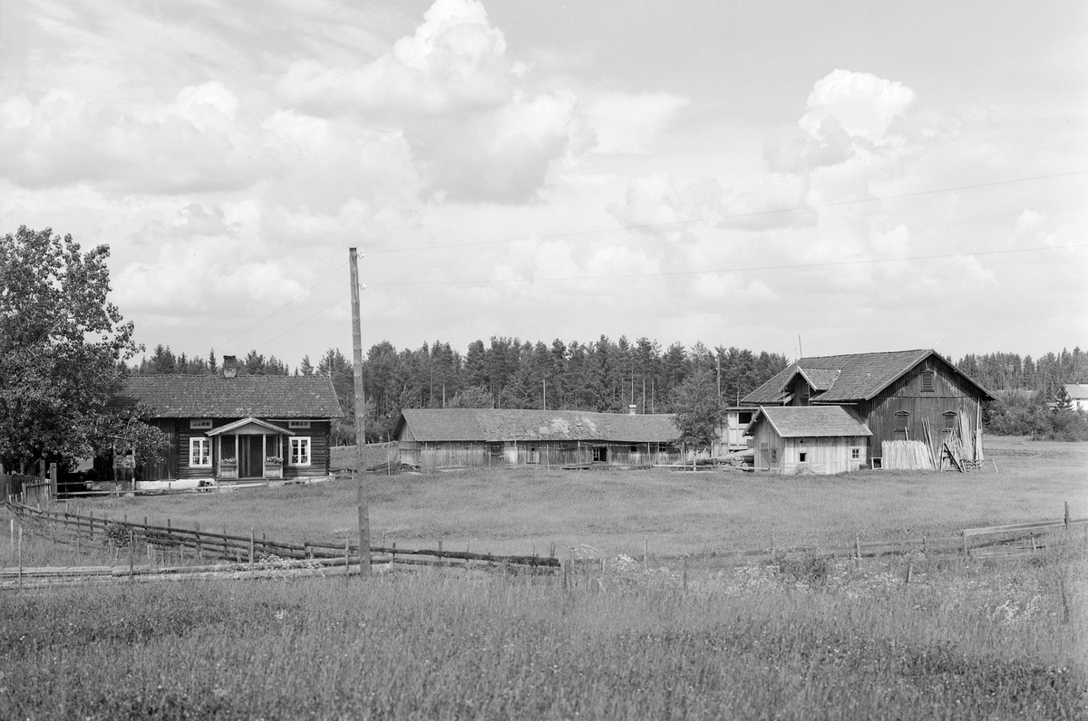 Anno Domkirkeodden, EKSTR: GARDSTUN, GRINDSTUEN Se Løtenboka, bind 3. Bygdeboka fra 1955, side 437