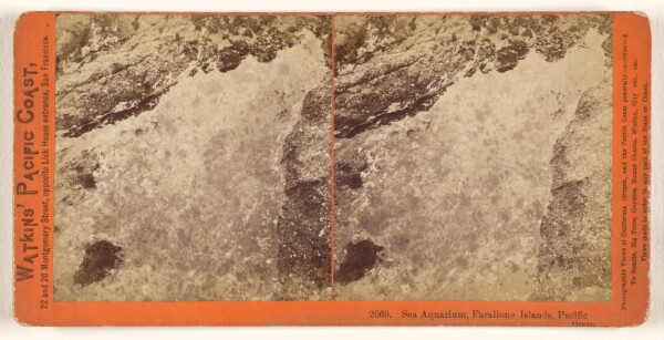 Carleton Watkins, Sea Aquarium, Farallone [sic] Islands, Pacific Ocean.