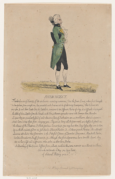 Thomas Rowlandson, A New Insect