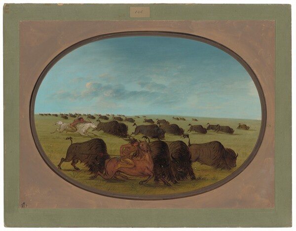 George Catlin, Buffalo Chase, with Accidents