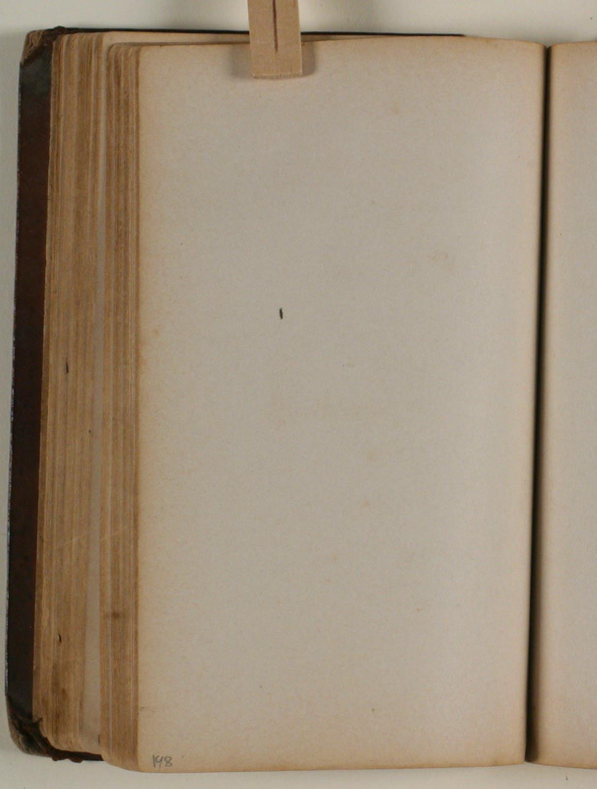Niels Larsen Stevns, Blank