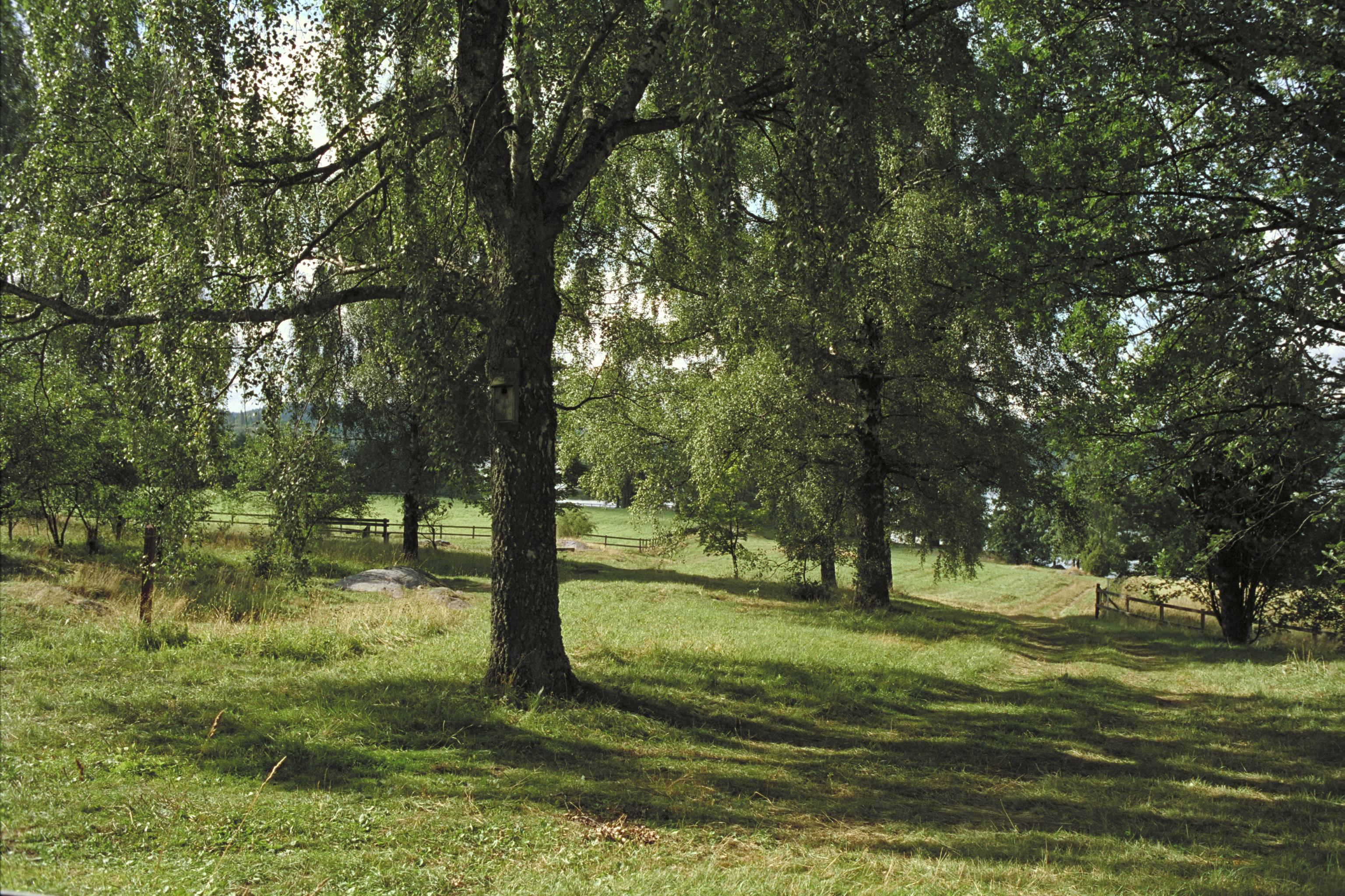 Bengt A Lundberg, Tisselskog 11:1