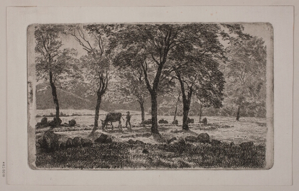 Niels Skovgaard, Landskab