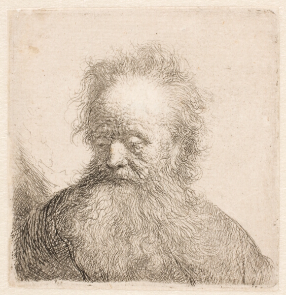 Rembrandt van Rijn, Hoved og skulder af gammel, skægget mand