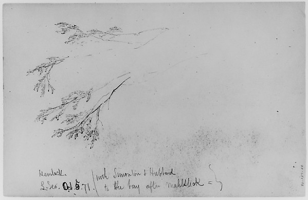 Daniel Huntington, Study of Hemlock, 1871 (from Sketchbook)