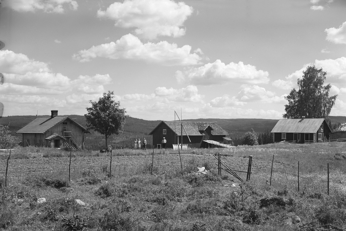 Anno Domkirkeodden, EKSTR: GARDSTUN, NØKLEBYBERGET, LØTENBERGET. Se Løtenboka, bind 3. Bygdeboka fra 1955, side 648