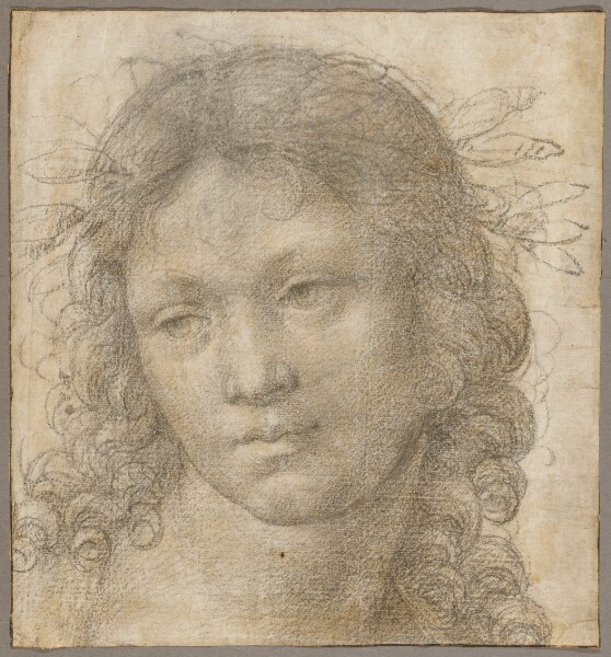 Lorenzo di Credi, The Head of a Young Boy Crowned with Laurel