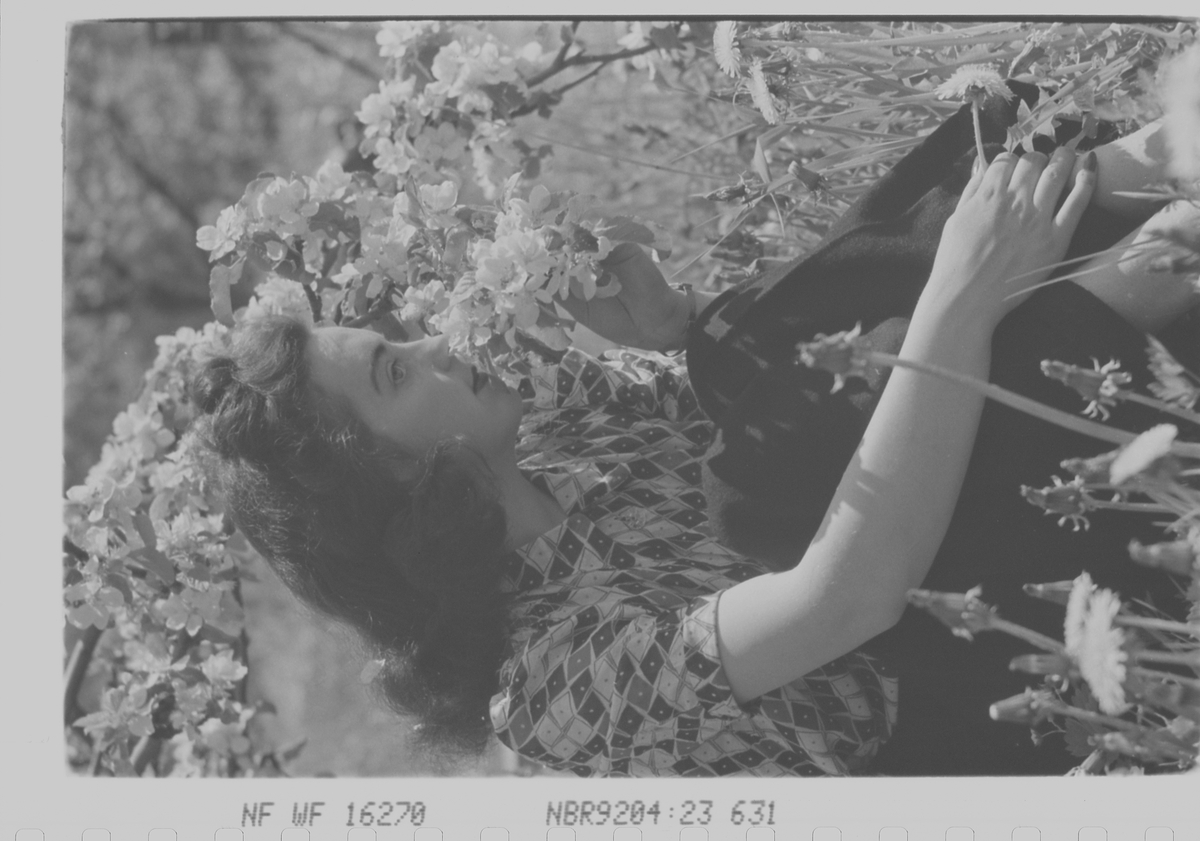 Anders Beer Wilse, Prot: dame fruktblomst