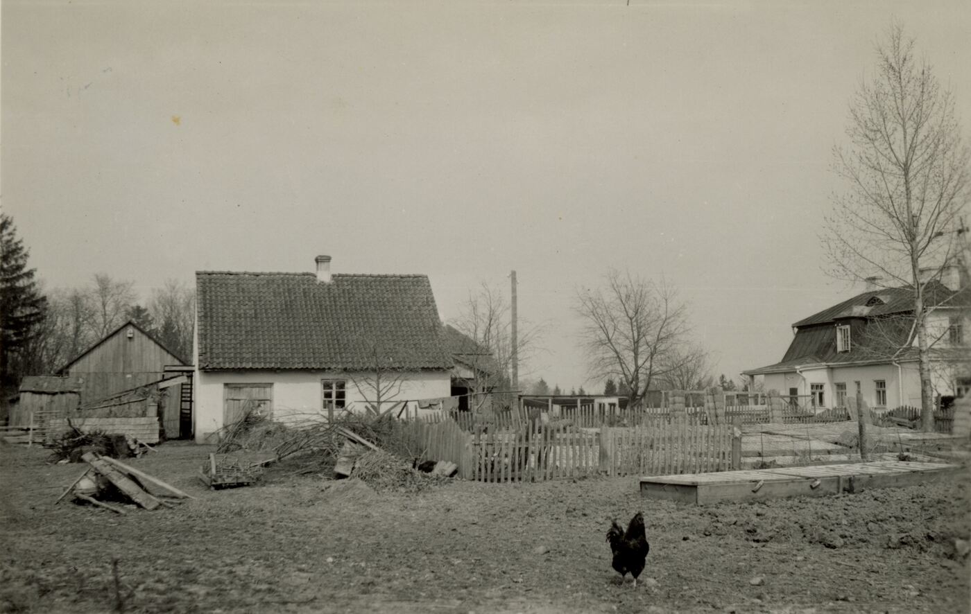 Nežinomas fotografas, T. ir H. Ivanauskų sodyba Obelynėje