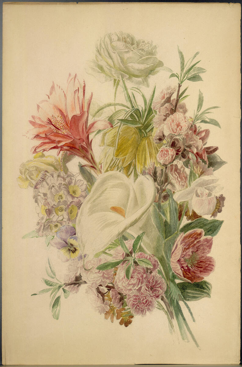 Anonym, Blumenstudie