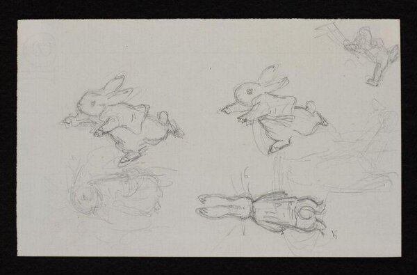 Potter, Beatrix, drawing