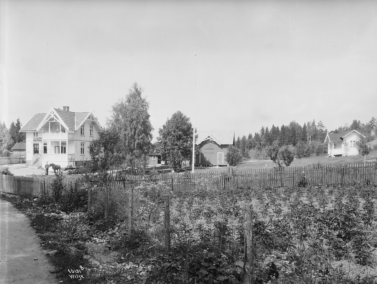 Anders Beer Wilse, Prot: Fredbo Landhandleri