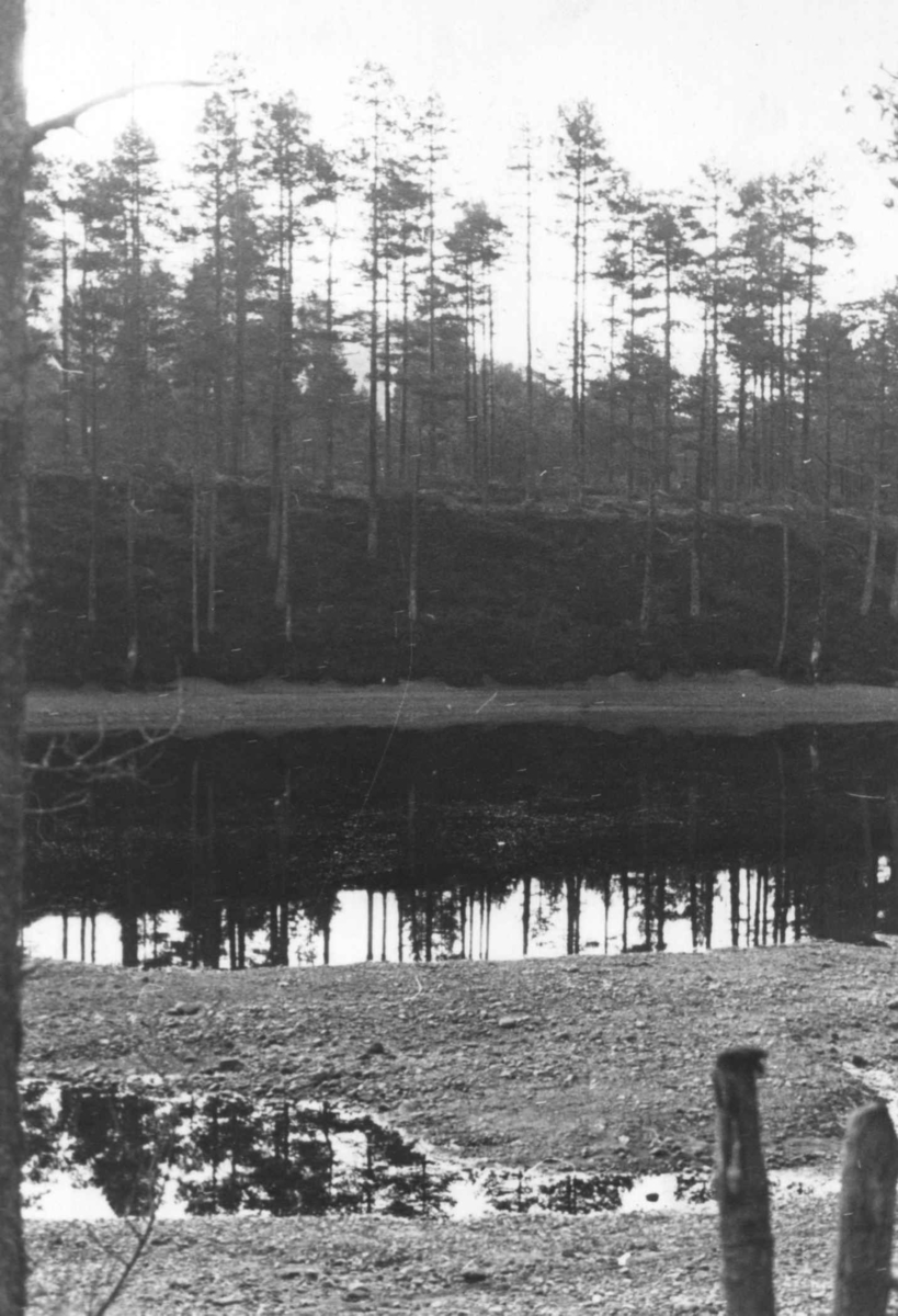 Anna Grostøl, Landskap fra Logna ned mot Torsland. Åseral 1943.